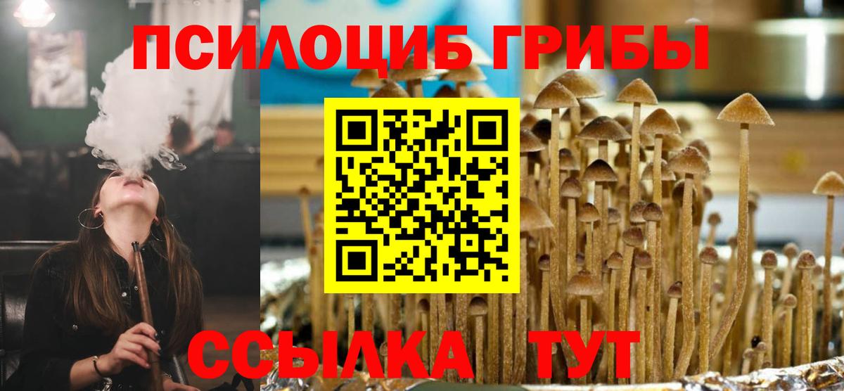Псилоцибиновые грибы Psilocybine cubensis  Вход с VPN  Озёрск 