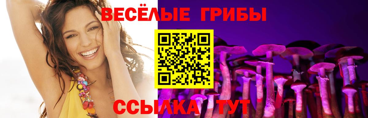 Псилоцибиновые грибы Magic Shrooms Озёрск